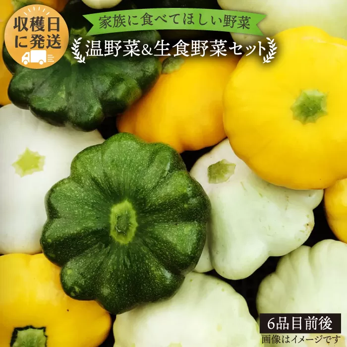 【 栽培期間中農薬 ・ 化学肥料 不使用 】 温野菜＆生食野菜セット （ 6品前後 ） 《糸島》【オーガニックナガミツファーム】 	[AGE015]