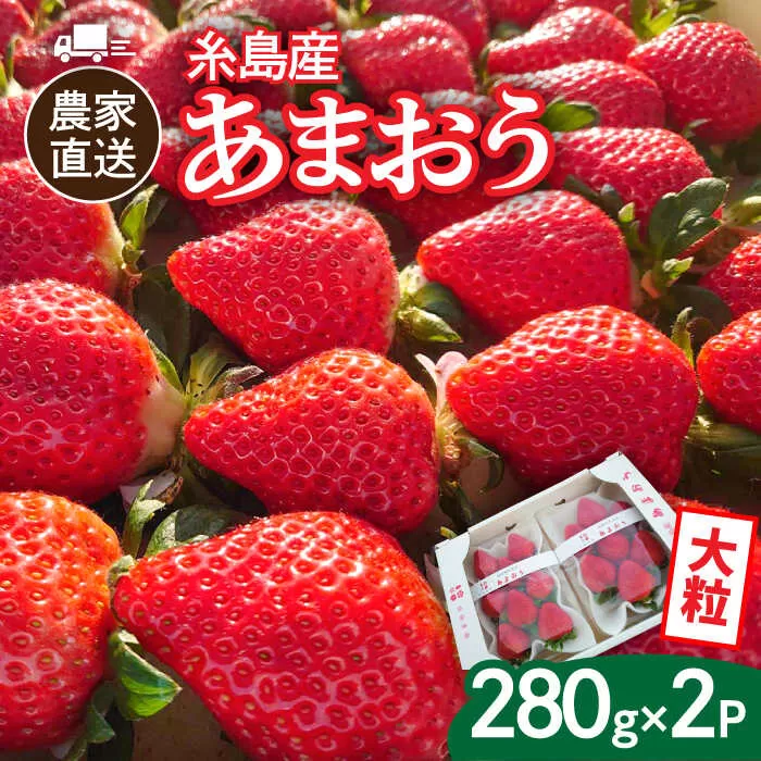 [先行予約][農家直送!]糸島産あまおう 280g×2パック (DXまたはGサイズ) [2025年12月以降順次発送]糸島市 / 後藤農園 [AML001] いちご 福岡 あまおう いちご イチゴ 苺 果物 くだもの フルーツ