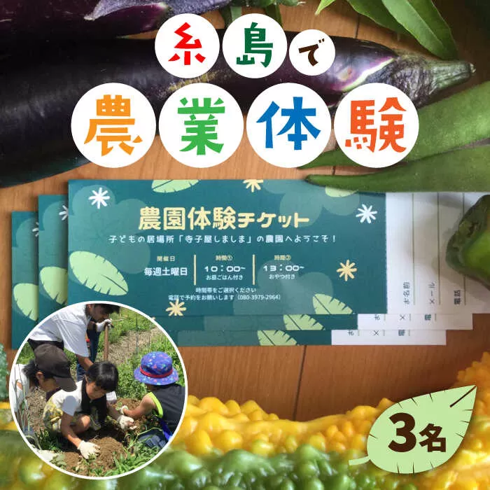 【ふるさと納税】糸島で農業体験(3名) 栽培期間中農薬不使用 無化学肥料 無除草剤の畑で野菜のお世話体験！ [AAL003]