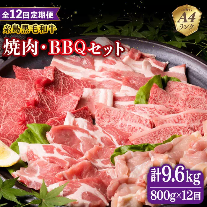【全12回定期便】焼肉・バーベキュー セット 計800g 牛モモ 牛バラ 豚バラ 豚肩ロース 鶏もも肉 糸島市 / 糸島ミートデリ工房 [ACA274]