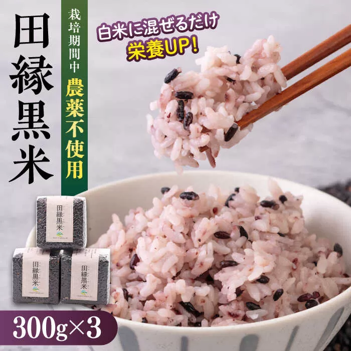 田縁黒米（でんえんくろまい）300g×3パック 糸島市 / NPO法人田縁プロジェクト 古代米 黒米 米 ご飯 [ATM003]