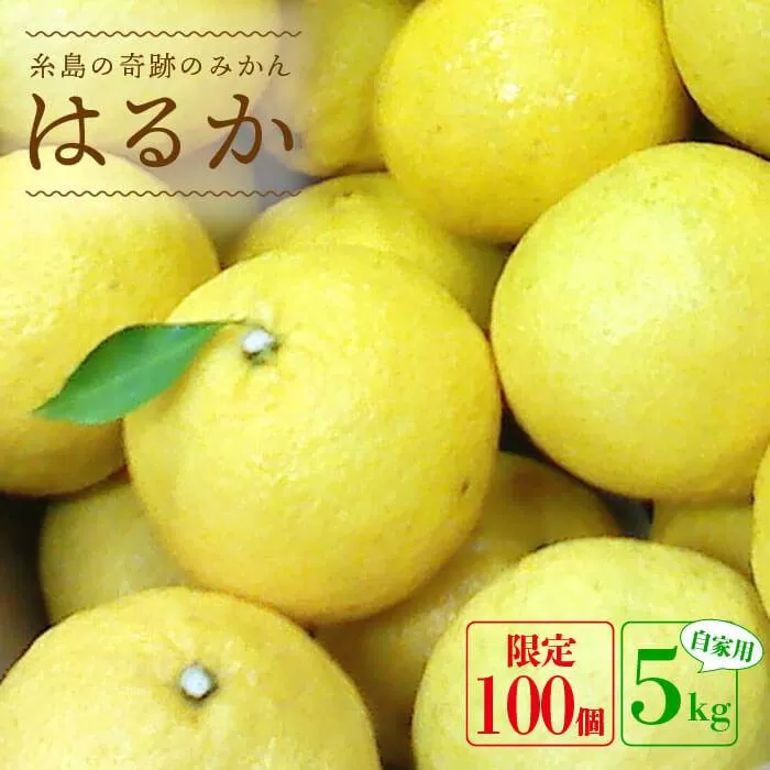 【先行予約】爽やか に甘い！ 糸島産 「 はるか 」  自家用 約 5kg 【2025年3月より順次発送】二丈赤米産直センター [ABB023]
