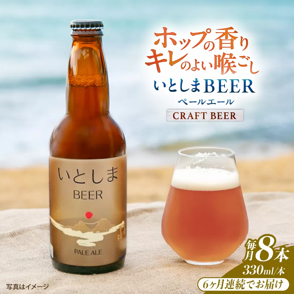 【全6回定期便】いとしまBEER (ペールエール) 330ml×8本 糸島市 / 蔵屋 クラフトビール [AUA054]