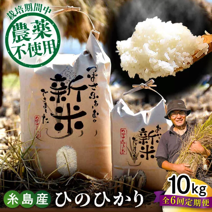 【全6回定期便】 糸島産 雷山のふもとの米 農薬不使用 10kg 糸島市 / ツバサファーム [ANI007] 白米 玄米