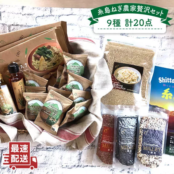 糸島 ねぎ 農家 贅沢 セット  9種 20点 《糸島》 【Carna】 [ALA020]