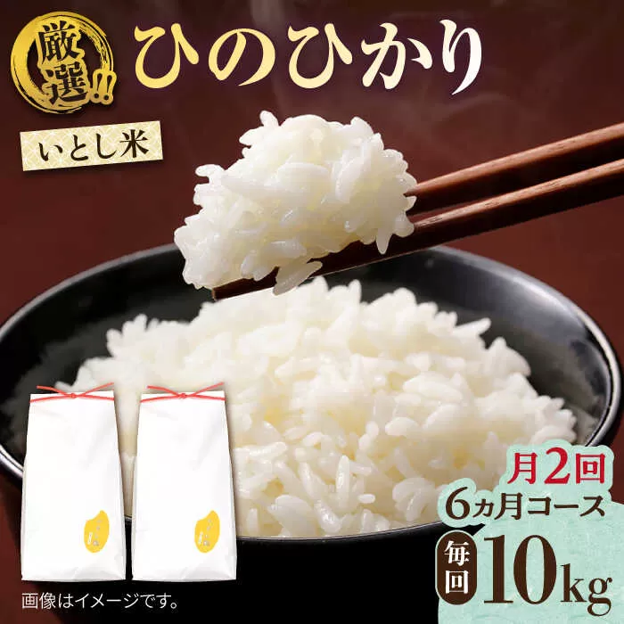 【月2回お届け】【全12回定期便】いとし米 厳選ひのひかり 10kg 6ヶ月コース(糸島産) 糸島市 / 三島商店 [AIM058]