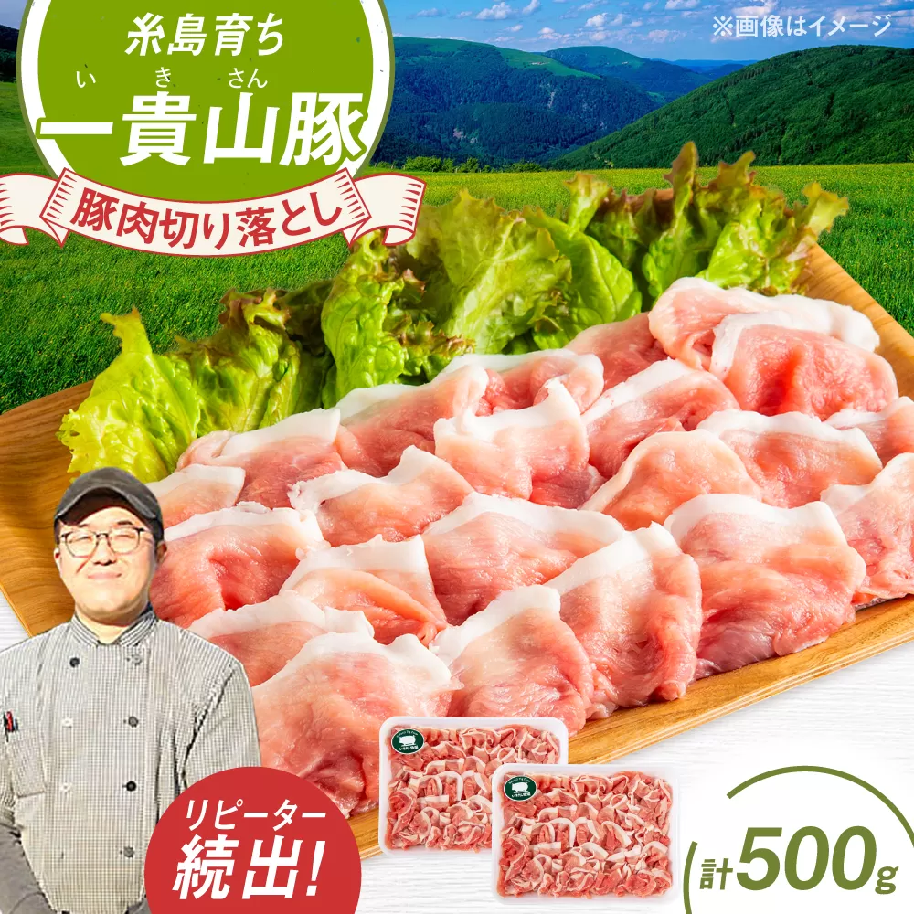 一貴山豚 切り落とし 計500g(250g×2p) 糸島市 / いきさん牧場 豚肉 [AGB056] 豚肉 豚 ブランド豚 一貴山豚 ポーク 切り落とし 肉 250g