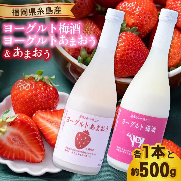 【先行予約】【冬】ヨーグルトあまおう＆ヨーグルト梅酒 各720ml×あまおう 約250g×2パック 【2025年12月上旬以降順次発送】 糸島市 / 南国フルーツ株式会社 [AIK018]