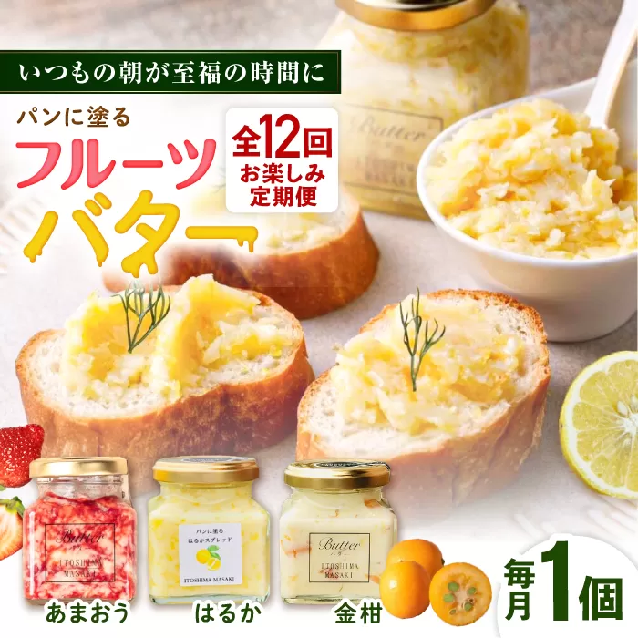 【全12回定期便】お楽しみ定期便 フルーツバター大1個 糸島市/糸島正キ ジャム クリーム 果物 [AQA064]