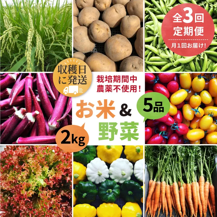 【全3回定期便】【☆畑直送☆栽培期間中農薬不使用！】お 米 2kg & 野菜 5品 の セット 糸島市 / オーガニックナガミツファーム 	[AGE036]