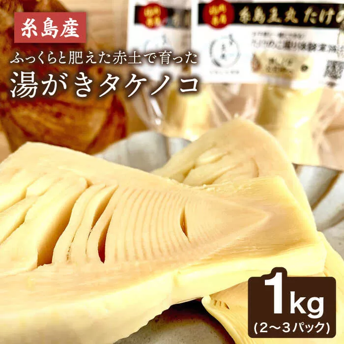 【先行予約】湯がきタケノコ 1kg 【2025年3月下旬以降より順次発送・季節限定】糸島市 / 糸島王丸農園(谷口汰一)/ いとしまごころ [AAZ009]