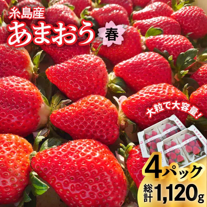 [先行予約][農家直送!]糸島産 春 あまおう 280g × 4パック (DXまたはGサイズ) [2026年1月下旬以降順次発送]糸島市 / 後藤農園 [AML002] いちご 福岡 あまおう いちご イチゴ 苺 ギフト 贈答 クリスマス 期間限定
