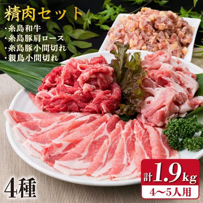 牛肉 豚肉 鶏肉 日常使いの精肉セット 1,930g 4〜5人前 4種《糸島》【糸島ミートデリ工房】 [ACA196]