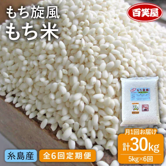 【 全6回 定期便 】もち 旋風 もち米 5kg 《糸島》【百笑屋】 [ABF036] 米 お米 白米 糯米 餅 定期便