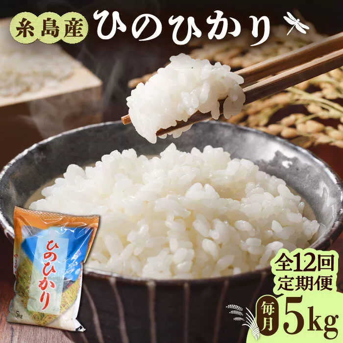 【全12回定期便】糸島産 ひのひかり 5kg×12回 糸島市 / 三島商店 [AIM010]
