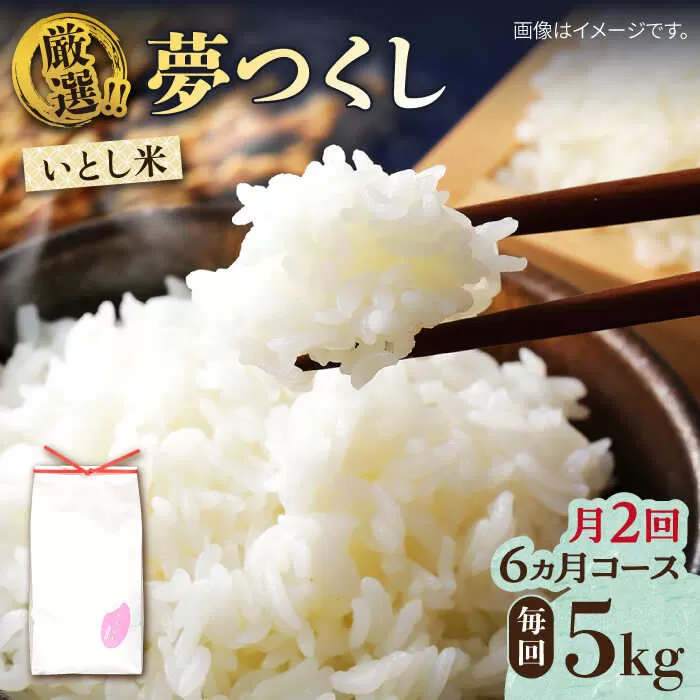 【月2回お届け】【全12回定期便】いとし米 厳選夢つくし 5kg 6ヶ月コース(糸島産) 糸島市 / 三島商店 [AIM038]