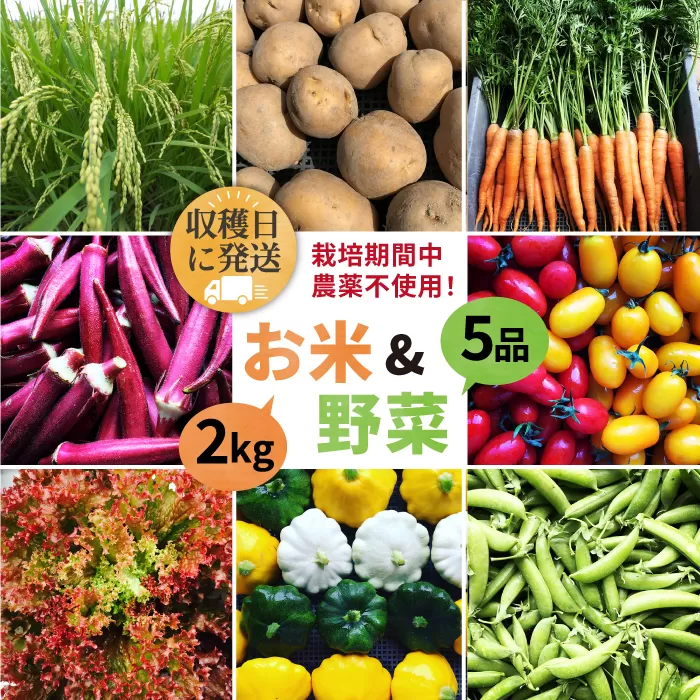 【☆畑直送☆栽培期間中農薬不使用！】お 米 2kg & 野菜 5品 の セット 糸島市 / オーガニックナガミツファーム 	[AGE035]