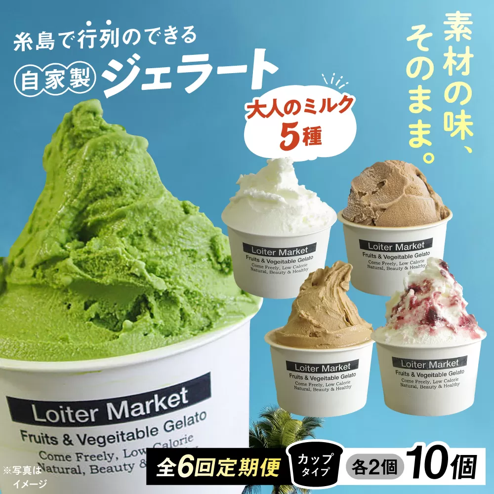 【全6回定期便】糸島で行列のできる アイスクリーム 屋 ジェラート カップ 10個 セット！ 大人の味 5種類 × 各2個 ( ミルク , 抹茶 , ほうじ茶 , カフェオレ , ブルーベリーヨーグルト ) 糸島市 / LoiterMarket ロイターマーケット アイスクリーム [AGD021]