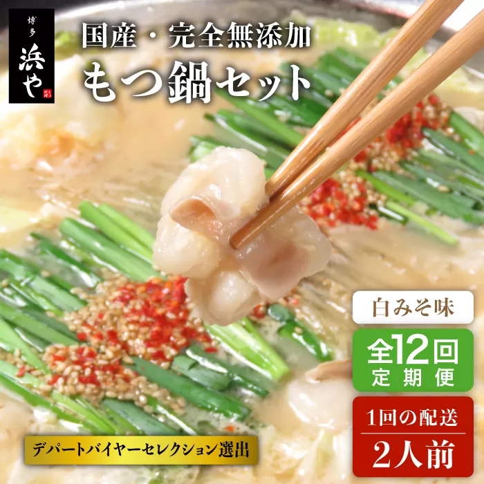 【全12回定期便】国産 ・ 完全 無添加 もつ鍋 セット ( 約 2人前 ) 白みそ味 糸島市 / 博多 浜や [AFF007]