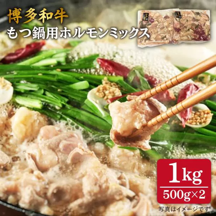 [もつ鍋用]博多 和牛 ホルモン ミックス 計1kg [糸島] [糸島ミートデリ工房] [ACA118] 牛肉 焼肉 国産 ホルモン ホルモンミックス 焼肉 ホルモン鍋 セット 和牛