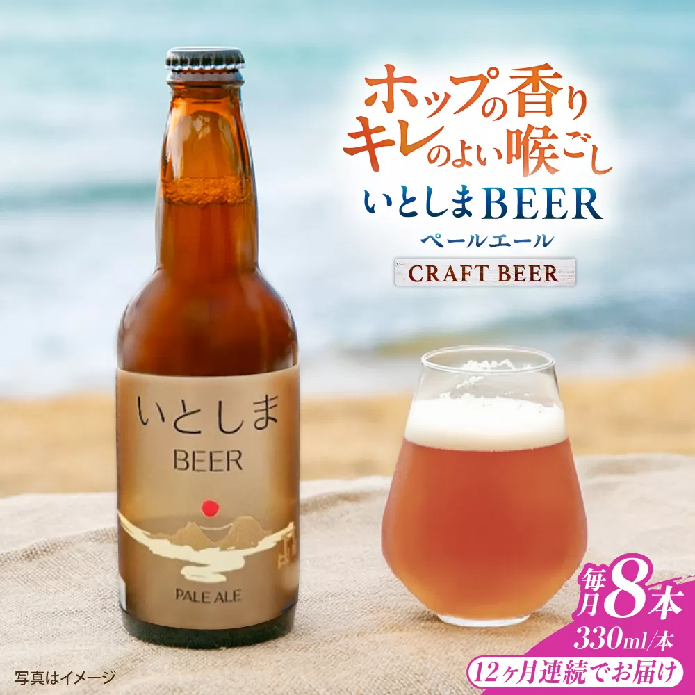 【全12回定期便】いとしまBEER (ペールエール) 330ml×8本 糸島市 / 蔵屋 クラフトビール [AUA055]