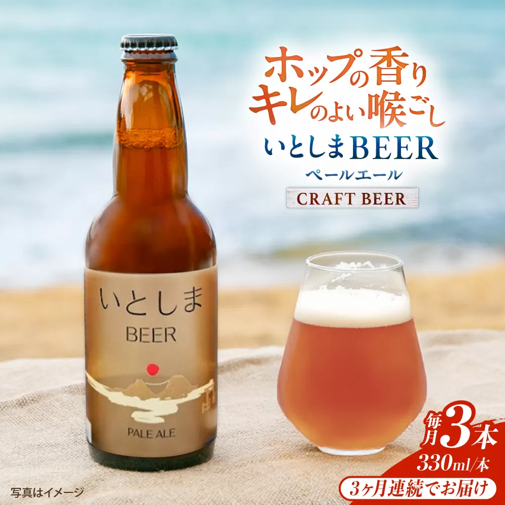 【全3回定期便】 いとしまBEER (ペールエール) 330ml×3本 糸島市 / 蔵屋 クラフトビール [AUA047]