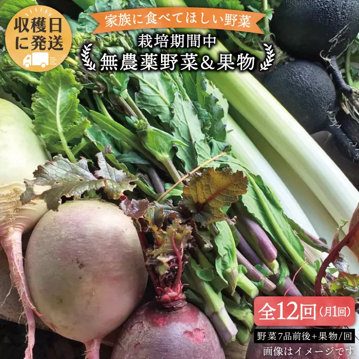 【全12回定期便】こだわり 野菜 （7品前後） セット ＋ 果物 《糸島》【 オーガニックナガミツファーム】	[AGE013]