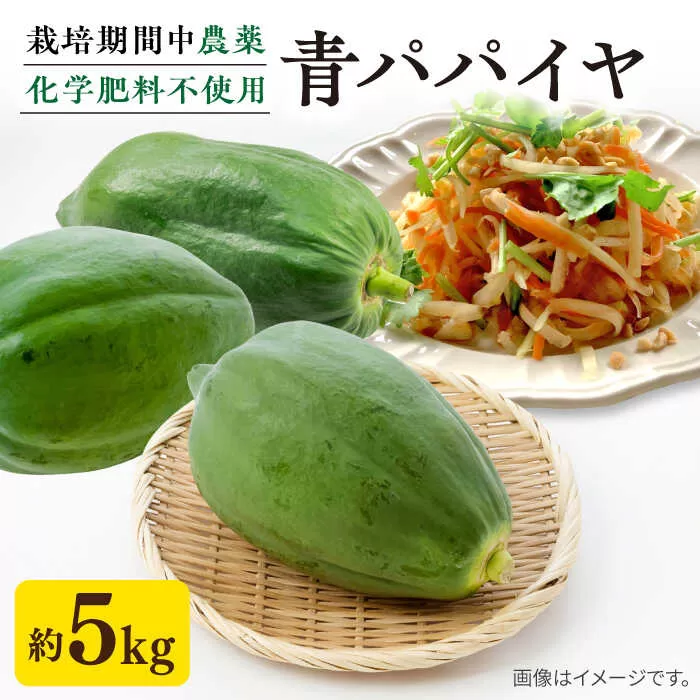 糸島産 青パパイヤ 約5kg 糸島市 / 食と健康のブリッジベース 野菜 タイ料理 [ANN001]