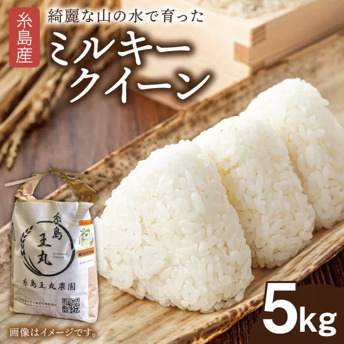 糸島産 ミルキークイーン 5kg 糸島市／糸島王丸農園（ 谷口汰一 ）【いとしまごころ】 米 [AAZ019]