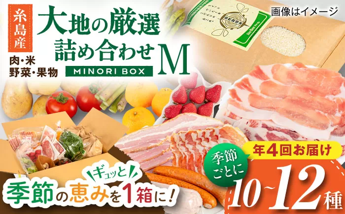 【全4回定期便】糸島産 肉 米 野菜 果物 厳選詰め合わせ MINORI BOX Mサイズ【季節ごとに年4回お届け】 糸島市 / emma.Inc / 米 肉 野菜 果物 詰め合わせ [AOP002] 米 こめ 肉 にく 野菜 やさい 果物 くだもの 糸島 詰め合わせ MINORI