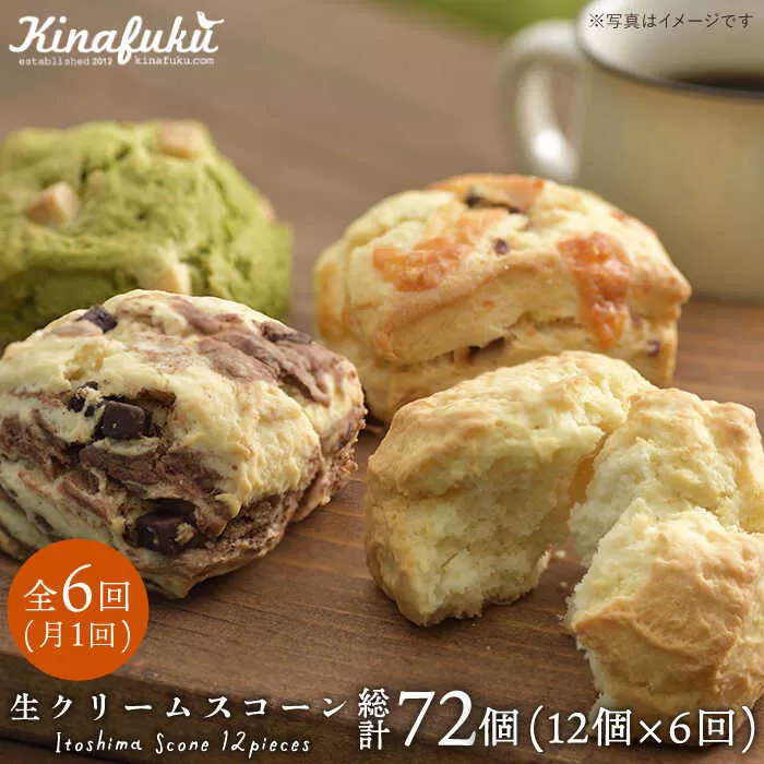 【 全6回 定期便 】 スコーン の イメージ 変えてみませんか？ 定番 スコーン 12個セット 《糸島》【キナフク】焼き菓子 焼菓子 洋菓子 スイーツ パン [AFA014]