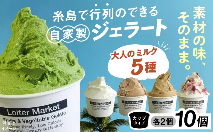 糸島で行列のできる アイスクリーム屋 ジェラート カップ 10個 セット! 大人の味 5種類 × 各2個 ( ミルク , 抹茶 , ほうじ茶 , カフェオレ , ブルーベリーヨーグルト ) 糸島 / LoiterMarket ロイターマーケット[AGD002] アイス クリーム アイスクリーム