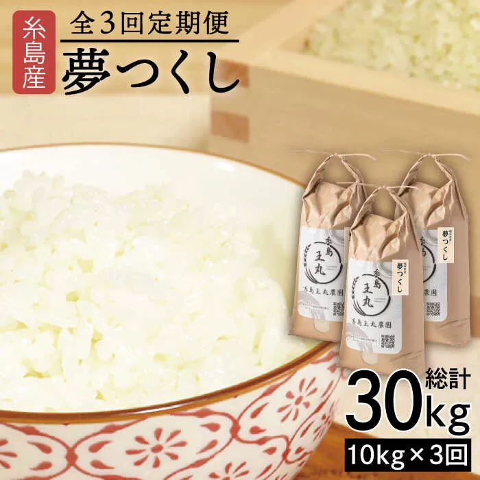 【全3回定期便】 糸島産 夢つくし 10kg × 3回（月1回）糸島市 / 糸島王丸農園 ( 谷口汰一 )【いとしまごころ】[AAZ006]