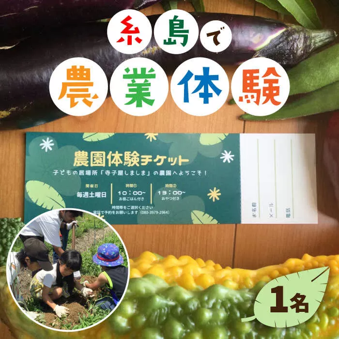 【ふるさと納税】糸島で農業体験(1名) 栽培期間中農薬不使用 無化学肥料 無除草剤の畑で野菜のお世話体験！[AAL001]