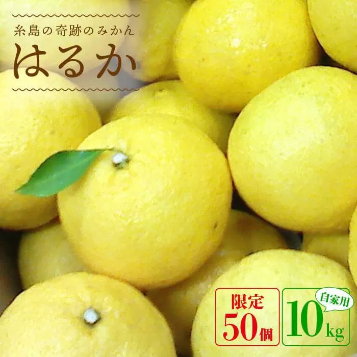 【先行予約】爽やか に甘い！ 糸島産 「 はるか 」  自家用 約 10kg 【2025年3月より順次発送】 二丈赤米産直センター [ABB004]