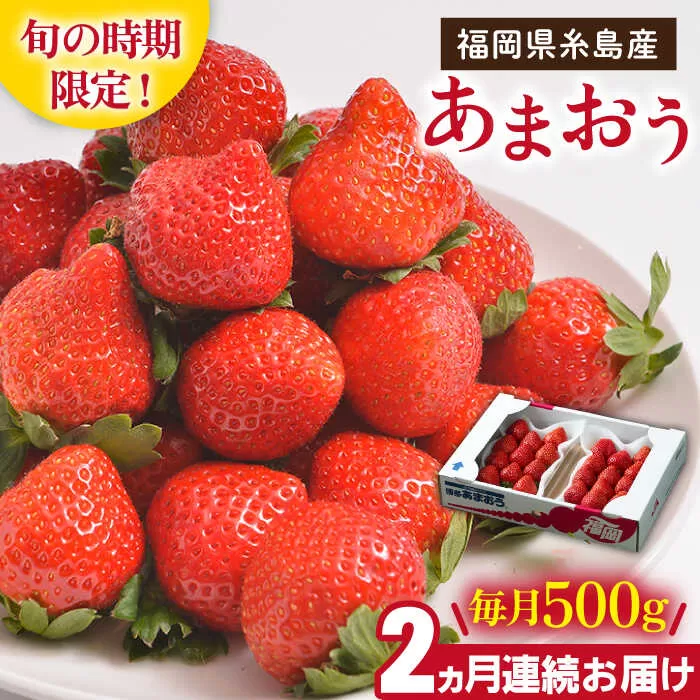 【先行予約】【全2回定期便】糸島産【冬】 あまおう 2パック 毎月計500g 【2025年12月上旬以降順次発送】糸島市 / 南国フルーツ株式会社 [AIK025]