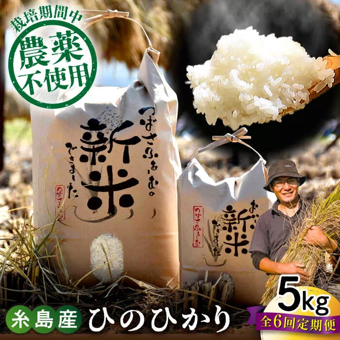 【全6回定期便】 糸島産 雷山のふもとの米 農薬不使用 5kg 糸島市 / ツバサファーム [ANI004] 白米 玄米