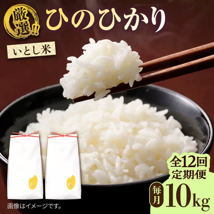 【全12回定期便】糸島産 いとし米 厳選ひのひかり 10kg 糸島市 / 三島商店 [AIM052]