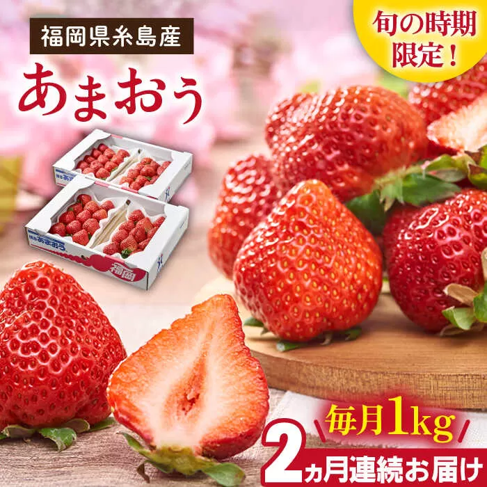 【先行予約】【全2回定期便】糸島産【春】 あまおう 4パック 計1kg 【2026年2月より順次発送】糸島市 / 南国フルーツ株式会社 [AIK026]