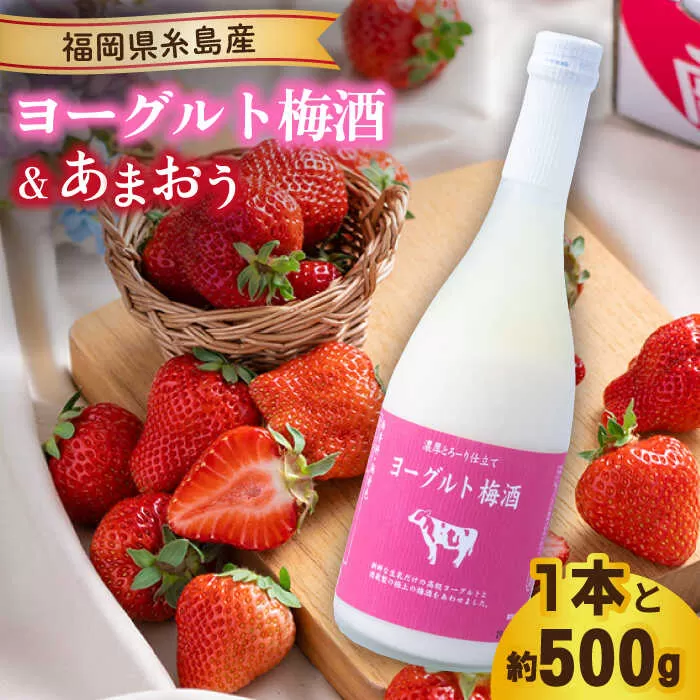 【先行予約】【春】ヨーグルト梅酒720ml ×あまおう 約250g×2パック  【2026年2月上旬以降順次発送】 糸島市 / 南国フルーツ株式会社 [AIK013]