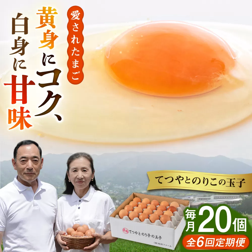 【全6回定期便】てつやとのりこの玉子 【 20個 】 糸島市 / 板垣ファーム 卵 たまご 鶏卵 [AWD017]