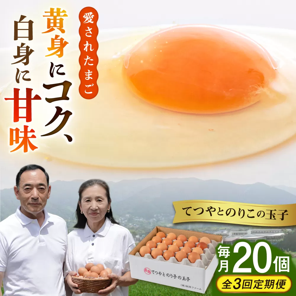 【全3回定期便】てつやとのりこの玉子 【 20個 】 糸島市 / 板垣ファーム 卵 たまご 鶏卵 [AWD016]