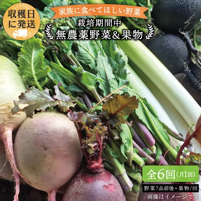 【 全6回 定期便 】 こだわり 野菜 （ 7品 前後 ） セット ＋ 果物 《糸島》【オーガニックナガミツファーム】 	[AGE010]