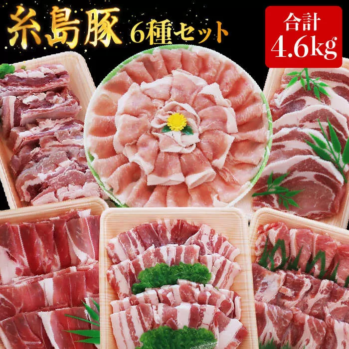 合計4.6kg！糸島豚 食べ尽くし セット ( とんかつ / 肩ロース / しゃぶしゃぶ / 豚バラ / スペアリブ / 小間切れ ) 糸島 / トラヤミートセンター [AJD005] 国産 豚肉 とんかつ