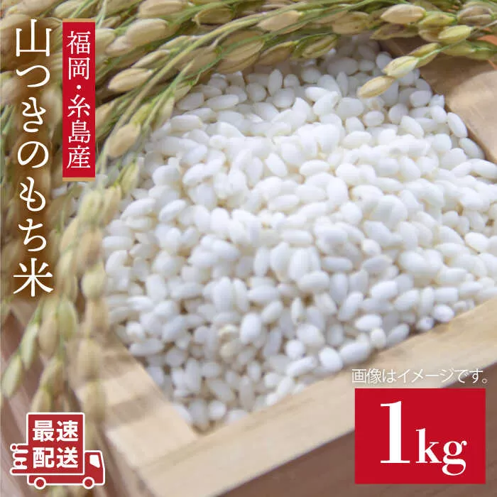 福吉産・ 山つき の もち米 1kg  《糸島》【二丈赤米産直センター】 [ABB027] 糯米 餅 おこわ