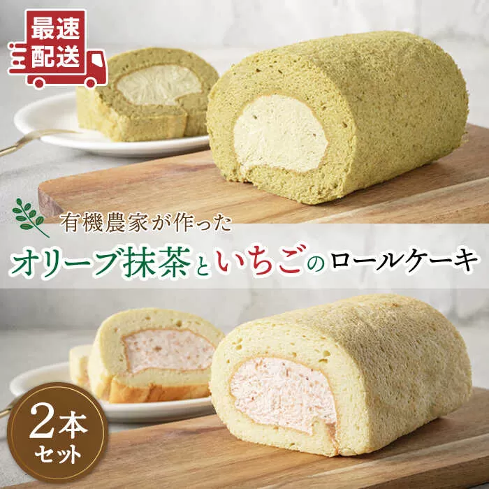 オリーブ リーフ の 抹茶 ＆ つぶつぶ 糸島 いちご ロール ケーキ 2本 セット《糸島》【わかまつ農園】 [AHB014]
