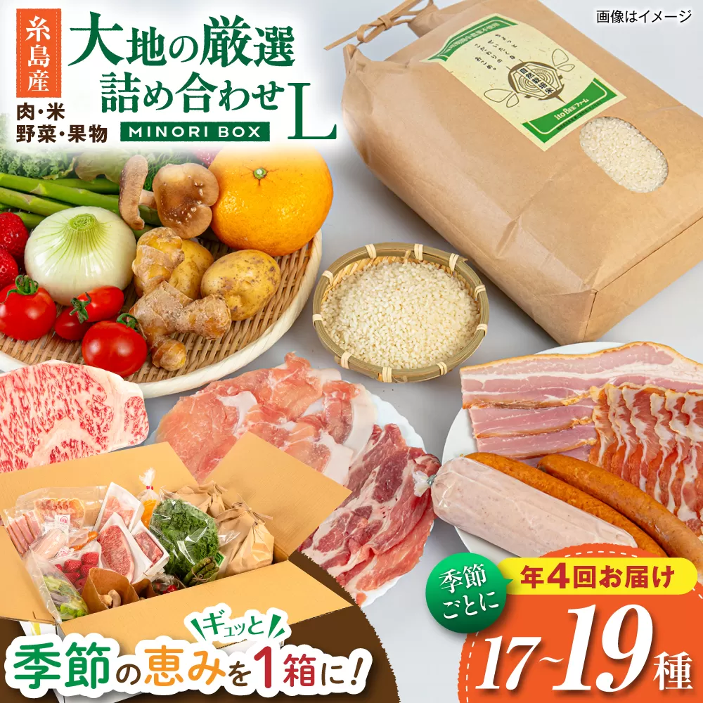 【全4回定期便】糸島産 肉 米 野菜 果物 厳選詰め合わせ MINORI BOX Lサイズ【季節ごとに年4回お届け】 糸島市 / emma.Inc / 米 肉 野菜 果物 詰め合わせ [AOP003]