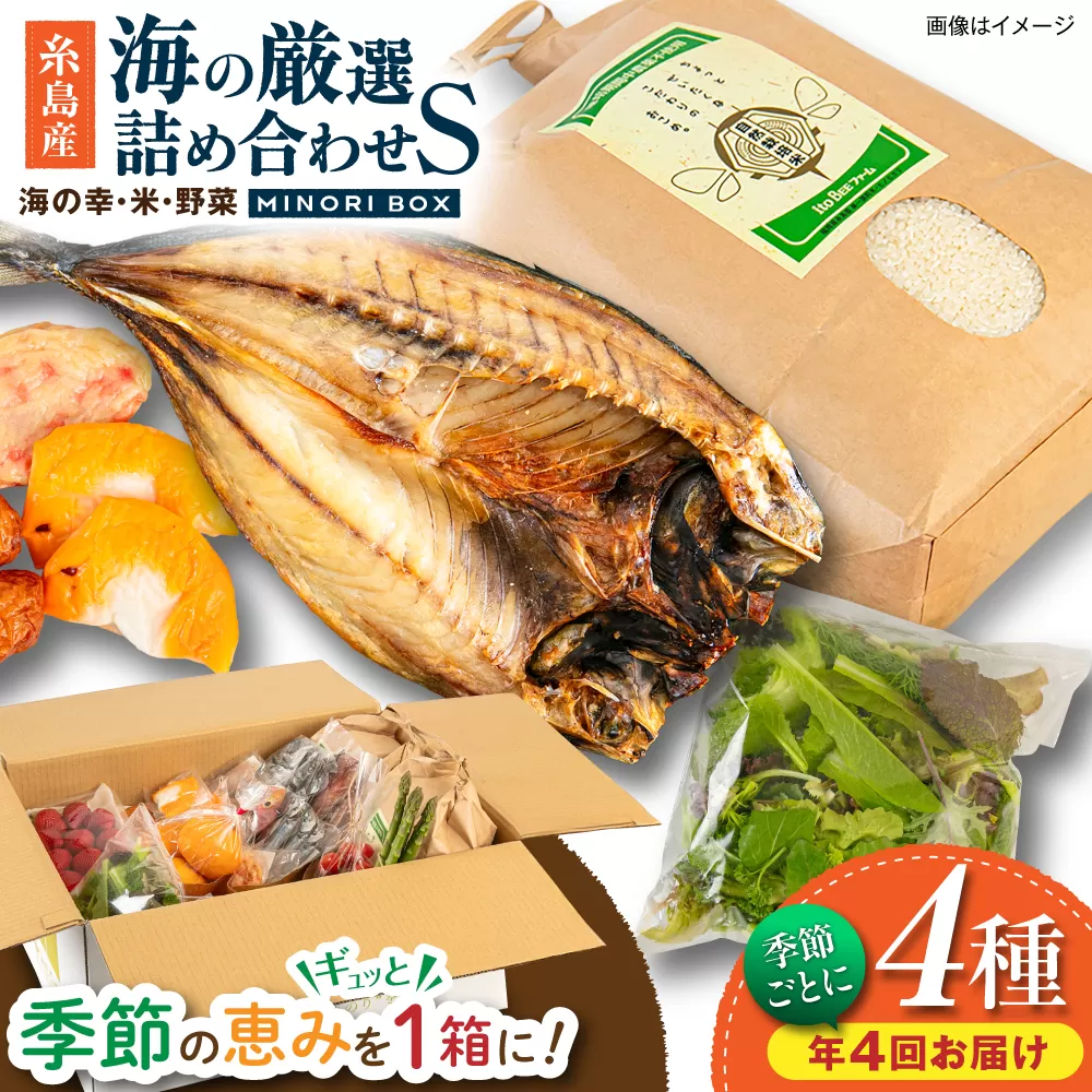 【全4回定期便】糸島産 魚 米 野菜 果物 厳選詰め合わせ MINORI BOX Sサイズ【季節ごとに年4回お届け】　糸島市 / emma.Inc / 米 魚 野菜 詰め合わせ [AOP004]