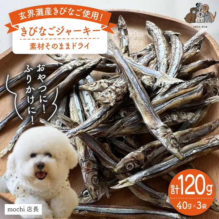 きびなご ジャーキー 40g×3袋  糸島市 / 株式会社コバヤシ【coco.kina】 [ASL009]