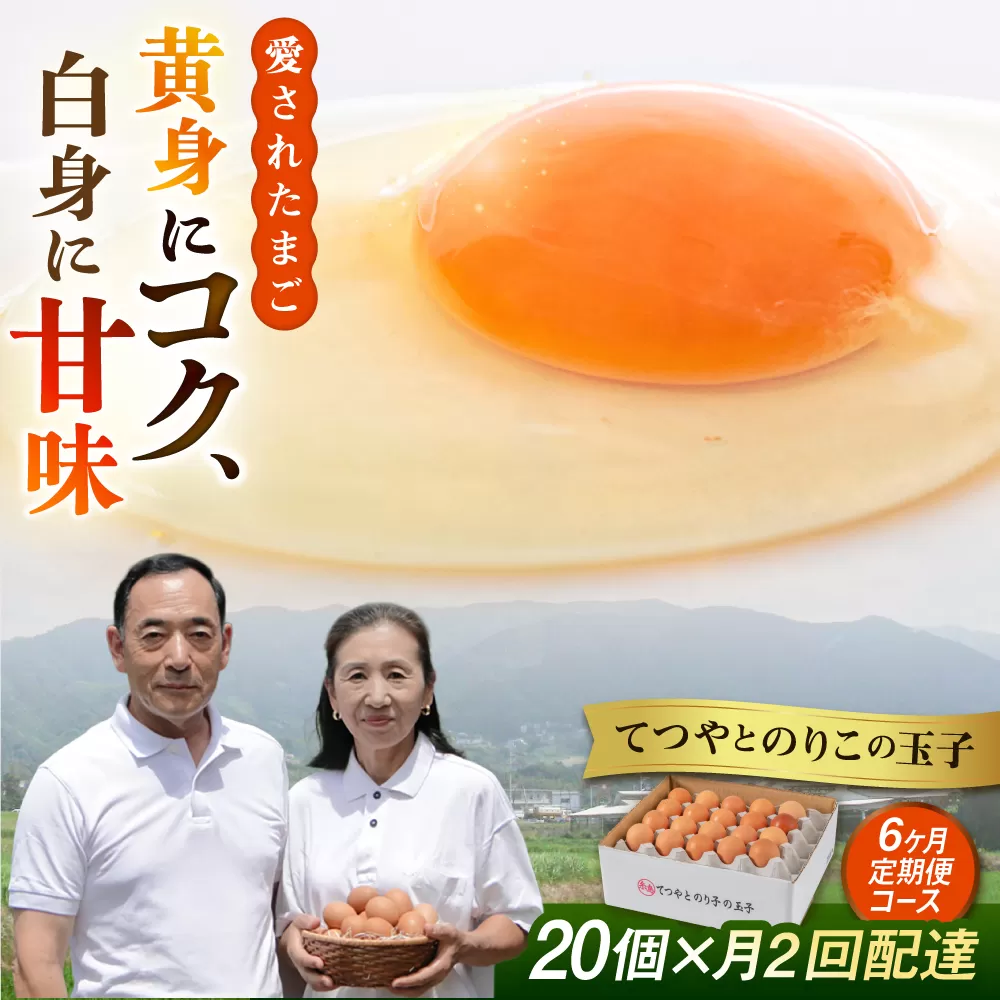 《月2回×20個 6ヶ月コース》 卵 てつやとのりこの玉子 全12回定期便 糸島市 / 板垣ファーム [AWD013]